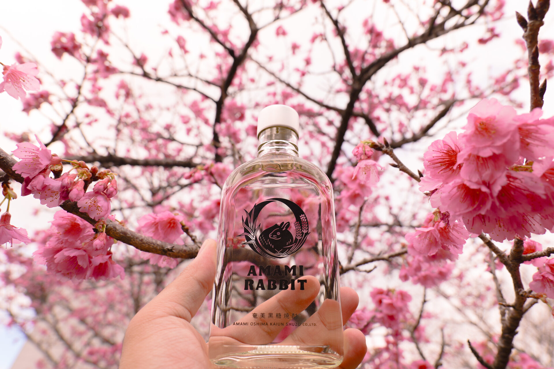 サマーセール❣️琉球ガラスカレット 〜緋寒桜〜 サマーセール❣️琉球ガラスカレット 〜緋寒桜〜